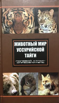 Цикл азота в экосистемах южной тайги Европейской России, С. М. Разгулин –  скачать pdf на ЛитРес