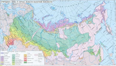 Набор игрушек ПВХ Весна Животные тайги и леса, 5 фигурок виниловых - купить  с доставкой по выгодным ценам в интернет-магазине OZON (405360007)