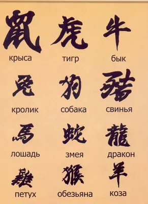 Тату иероглифы: с переводом на русский, фото, значение, на руке, мужские,  для девушек