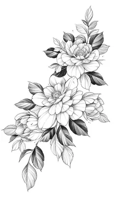 Винтажный принт на прозрачном фоне. Vintage print on transparent  background. | Chest tattoo designs female, Flower tattoo drawings, Floral  tattoo sleeve