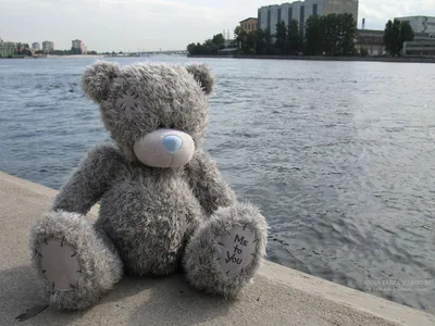 Скачать обои Teddy Bear Holding Heart Love, Teddy, Медведь, Holding,  Сердце, Любовь в разрешении 2560x1600 на рабочий стол