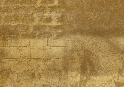 Free Wall Textures