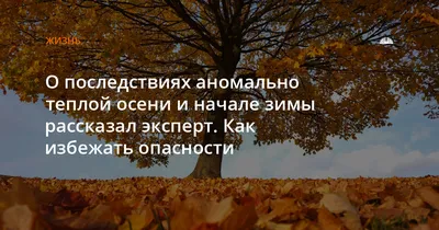 всё обо всём - ЯРКОЙ ТЕПЛОЙ ОСЕНИ! ♥ 💋❤💋❤  ❤💋--------------💋❤-----------------❤💋 💋❤----💋❤---❤💋------💋❤---❤💋  Душа, как осень… Кто-то ходит по аллее, Листву в букеты собирает и поёт… А  кто-то с зонтиком, одевшись потеплее, от нежной