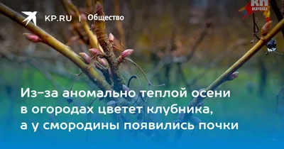 Желаю вам прекрасной осени - Открытки про осень с поздравлениями