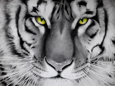 Картина тигр с зелеными глазами, бумага, карандаш – заказать на Ярмарке  Мастеров – CRVF9RU | Картины, Москва