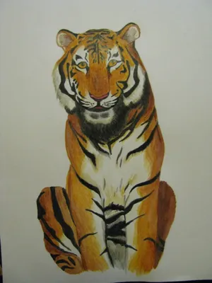 Как нарисовать тигра карандашом и красками - поэтапные инструкции для детей