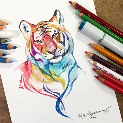 Рисунок тигра карандашом легко и красиво для начинающих (49 фото) » рисунки  для срисовки на Газ-квас.ком