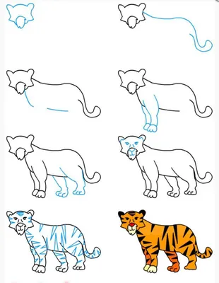 Как нарисовать тигра пошаговая инструкция для детей и взрослых, рисуем  символ 2022 года