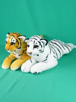 Tiger cub. Тигрёнок. PNG. | Тигрята, Тигр