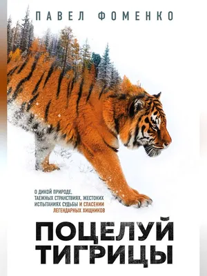 В нижегородском зоопарке «Лимпопо» появилась белая тигрица 6 июня 2021 года  | Нижегородская правда