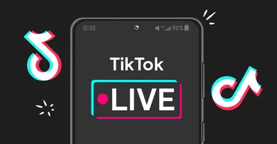 Should you be worried about TikTok? - MSU Denver RED