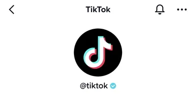 Promoting Your Ecommerce Brand and Selling on TikTok