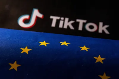 TikTok bans explained: Everything you need to know | ZDNET