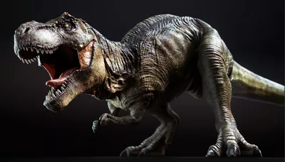 Тиранозавр Рекс зеленый 31 см Tyrannosaurus — фигурка-игрушка 55027 Papo |  Купить, цена, отзывы, в интернет-магазине Новая Фантазия FantasiaNew.ru