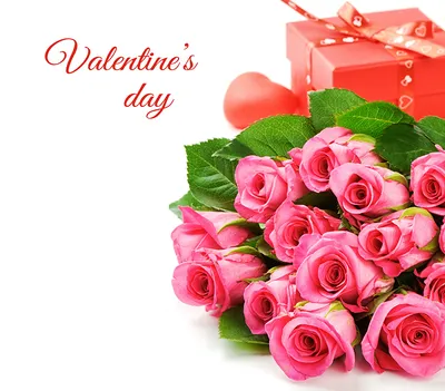 Картинка День святого Валентина букет роза Розовый Цветы подарок