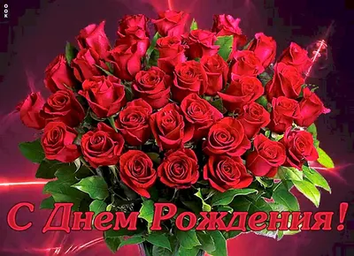 Скачать обои цветы, розы, букет, капли, раздел цветы в разрешении 1440x900  | Красные розы, Розы, Букет
