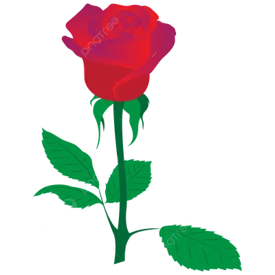 Скачать роза, розы картинки бесплатно · бесплатная фотография от  photomonstr - картинки на Fonwall