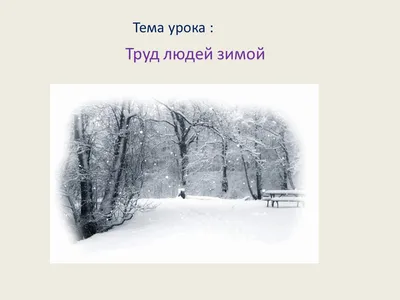 Конспект урока по развитию речи на тему \"Труд людей зимой\" (4 класс, по  коррекционной программе).