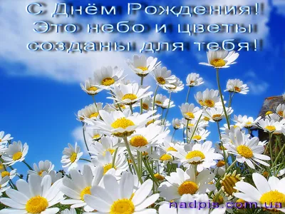 Букет Ближе к тебе | Доставка цветов в Кирове, закажи цветы по т. 20-61-20