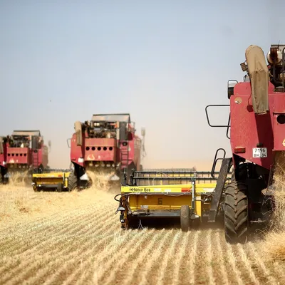 Сбор урожая в Украине: аграрии намолотили 2 млн тонн зерна