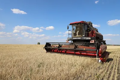 Уборка урожая зерновых началась в Казахстане