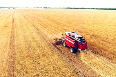 Уборка 2022: убрано 2,2 млн га зерновых, намолочено 3,3 млн тонн — АГРО  БИЗНЕС КАЗАХСТАН