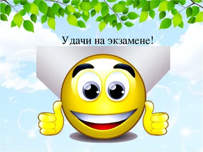 Жюли Клер Платья с доставкой - 🍀Дорогие друзья! Сегодня у девятиклассников  экзамен по русскому языку! Я желаю и детям, и родителям достойно провести  сегодняшний день и дни последующих экзаменов. Пусть всё у