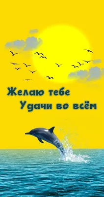 немецкий язык удачи тебе золотая вспышка шрифта PNG , Немецкий, удачи,  благословение PNG картинки и пнг PSD рисунок для бесплатной загрузки