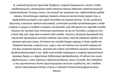 Картинки удачи в работе и хорошего настроения (30 фото) » Юмор, позитив и  много смешных картинок