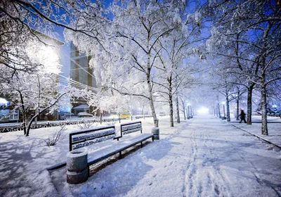 Картинка Зима Снег улице Ночь Дома Города