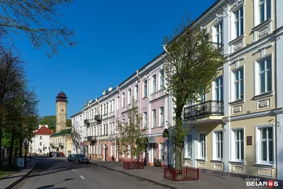 Улица Комиссаржевской – самая красивая зеленая улица страны, или Что  объединяет Воронеж и Париж