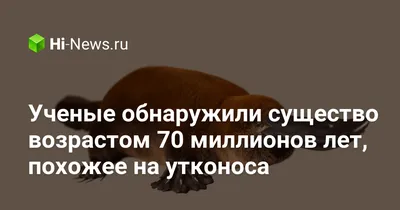 Яд утконоса поможет в лечении диабета - Индикатор