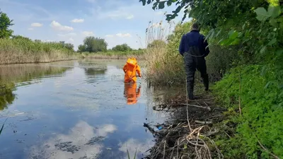 Три человека утонули в минувшие выходные в Лыткарино