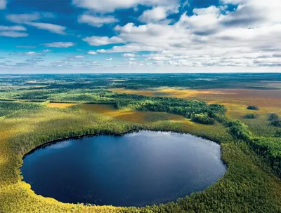 Новости Киева. Под Южным мостом нашли утопленника