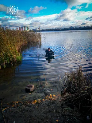 https://fotobase.co/photo/teletskoe-ozero-utoplennikov/1075738/