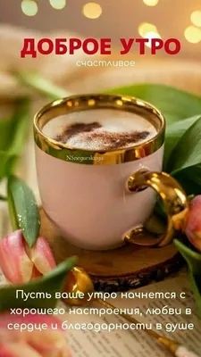 Завтрак с кофе и плодоовощами на доброе утро Стоковое Изображение -  изображение насчитывающей флористическо, эспрессо: 66994225
