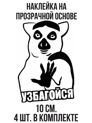 Наклейка на авто Лемур узбагойся надпись на авто - купить по выгодным ценам  в интернет-магазине OZON (709296913)