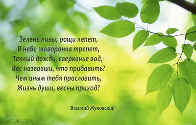 Лучшие поздравления в стихах... на все случаи жизни - купить с доставкой по  выгодным ценам в интернет-магазине OZON (465890156)