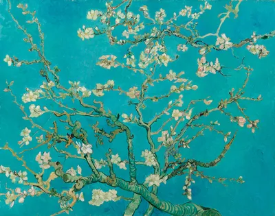 Цветы от Ван Гога