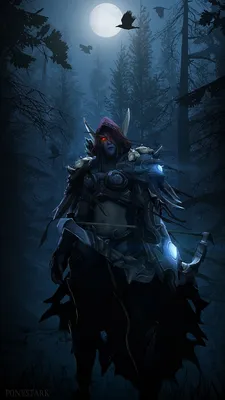 Desktop Wallpapers World of WarCraft Sylvanas Windrunner 1080x1920