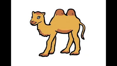 [82+] Картинки верблюжонка обои