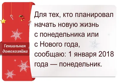 Веселая жизнь домашних животных купить в интернет магазине с доставкой по  Украине | MYplay