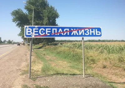 Воронежцы выбирают между родным городом и Веселой Жизнью