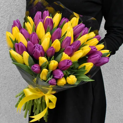Референс тюльпана | Тюльпаны, Цветы, Весенние цветы