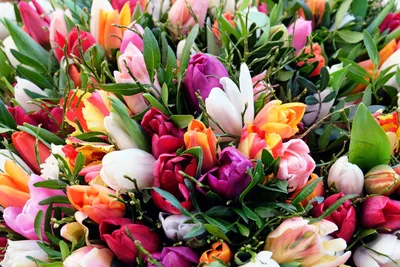 Букет весенних тюльпанов | доставка по Москве и области