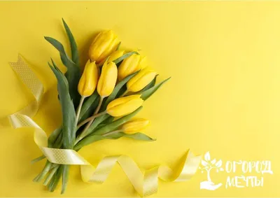 ᐉ Картина на холсте Весенние цветы тюльпаны 149x106 см (964-42)