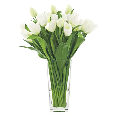 Купить весенние цветы тюльпаны DF-2030 с доставкой заказать весенние цветы  тюльпаны в ❤ДеФлор