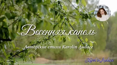 капель....Весна. :: Василий Платонов – Социальная сеть ФотоКто