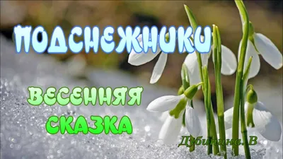 Подснежники Весенняя сказка Почему подснежники -ПЕРВЫЕ вестники весны.  Авторская сказка Дубинина В - YouTube