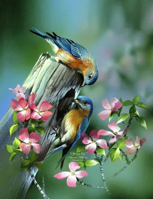 ВЕСНА! птицы поют, цветы цветут - ОЛЬГА ЦУРИНА художник иллюстратор акварель